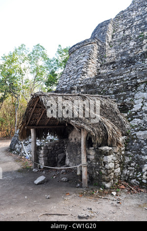 Coba rovine Maya in Messico Foto Stock