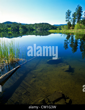 Lago di lince, Arizona, è un 55-acri (220.000 m2) serbatoio collocato all'interno di Prescott National Forest. Il lago si trova a 5,530" Foto Stock