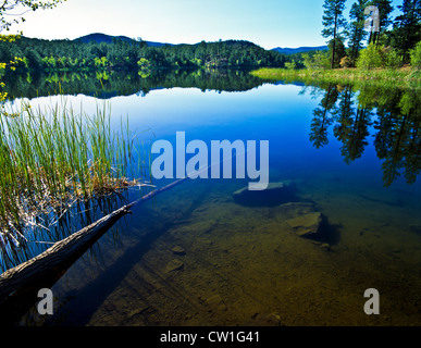 Lago di lince, Arizona, è un 55-acri (220.000 m2) serbatoio collocato all'interno di Prescott National Forest. Il lago si trova a 5,530" Foto Stock