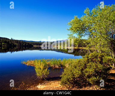 Lago di lince, Arizona, è un 55-acri (220.000 m2) serbatoio collocato all'interno di Prescott National Forest. Il lago si trova a 5,530" Foto Stock