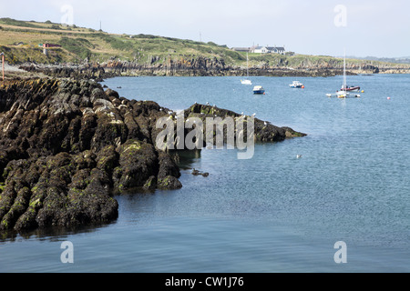 Costa, Porto Oriel, Clogherhead, Co. Louth, Irlanda Foto Stock