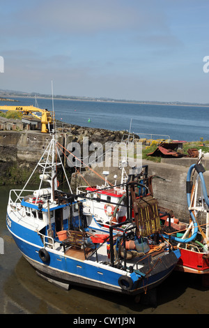 Barche da pesca a bassa marea, porto Oriel, Clogherhead, Co. Louth, Irlanda Foto Stock