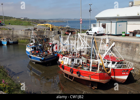 Barche da pesca a bassa marea, porto Oriel, Clogherhead, Co Louth, Irlanda Foto Stock