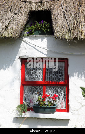 Finestra sotto il cornicione di un con il tetto di paglia fishermans cottage, Clogherhead, Co Louth, Irlanda Foto Stock