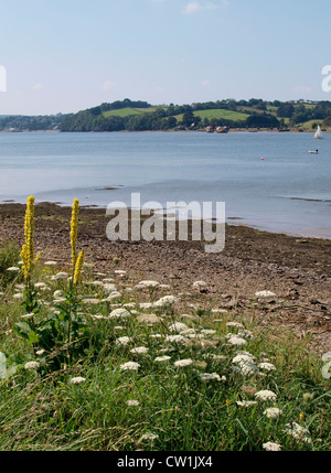 Fiume Torridge tra Bideford e Appledore, North Devon, Regno Unito Foto Stock