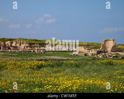 Le rovine di un prato nella città di Paphos a Cipro, in Grecia, in europa Foto Stock