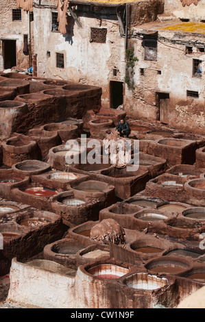 La millenaria del cuoio concerie nell'antica medina di Fes, Marocco Foto Stock