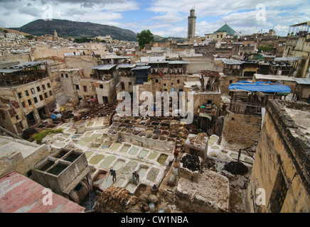 La millenaria del cuoio concerie nell'antica medina di Fes, Marocco Foto Stock