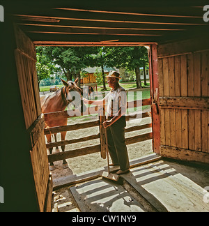 Ontario agricoltore è accarezzare il suo cavallo preferito nel fienile in Ontario;Canada;l'America del Nord Foto Stock