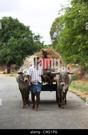 Indian uomini con carrello di giovenco Andhra Pradesh in India del Sud Foto Stock