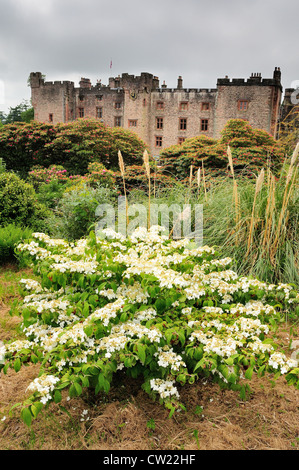 Muncaster Castle e giardini in fiore nel Lake District inglese Foto Stock