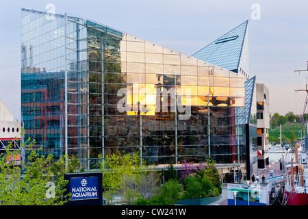 Il National Aquarium di Baltimora, Maryland all interno del porto Foto Stock