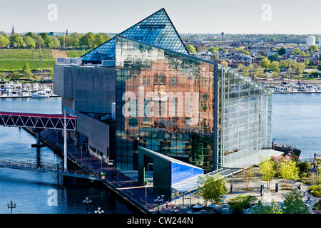 National Aquarium a Baltimora, Maryland, USA Foto Stock