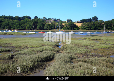 Vista di Riviere du Vincin e barche a vela con la bassa marea dal sentiero Tour du Golfe, Conleau, Vannes, Morbihan, in Bretagna, Foto Stock