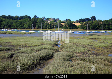 Vista di Riviere du Vincin e barche a vela con la bassa marea dal sentiero Tour du Golfe, Conleau, Vannes, Morbihan, in Bretagna, Foto Stock