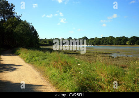 Il sentiero e la vista delle Riviere du Vincin a bassa marea dal sentiero Tour du Golfe, Conleau, Vannes, Morbihan, in Bretagna, Francia Foto Stock