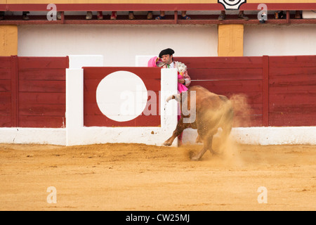 La corrida in Spagna. Il 20 luglio 2012, La Linea de la Concepcion, Spagna. Foto Stock