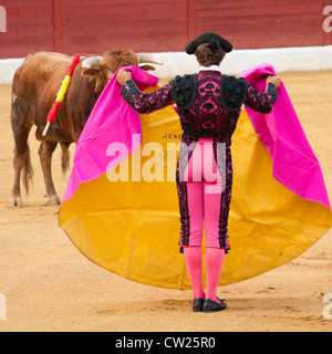 La corrida in Spagna. Il 20 luglio 2012, La Linea de la Concepcion, Spagna. Foto Stock