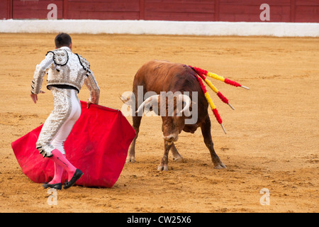 La corrida in Spagna. Il 20 luglio 2012, La Linea de la Concepcion, Spagna. Foto Stock