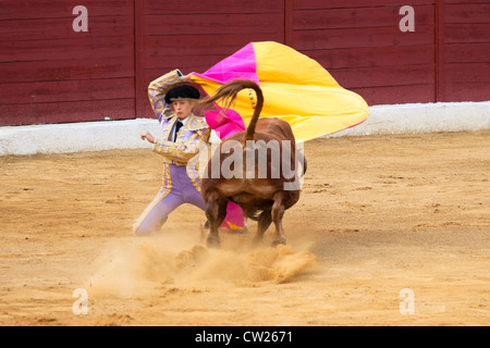 La corrida in Spagna. Il 20 luglio 2012, La Linea de la Concepcion, Spagna. Foto Stock