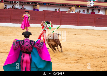 La corrida in Spagna. Il 20 luglio 2012, La Linea de la Concepcion, Spagna. Foto Stock