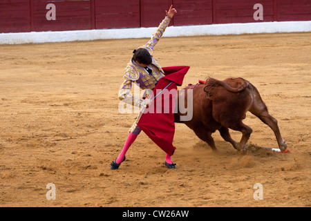 La corrida in Spagna. Il 20 luglio 2012, La Linea de la Concepcion, Spagna. Foto Stock