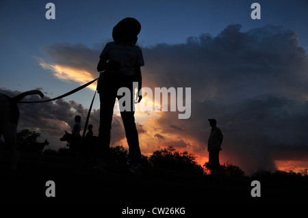 Dog walkers testimonianza di un acquazzone di monsone al tramonto nel deserto Sonoran, Tucson, Arizona, Stati Uniti. Foto Stock