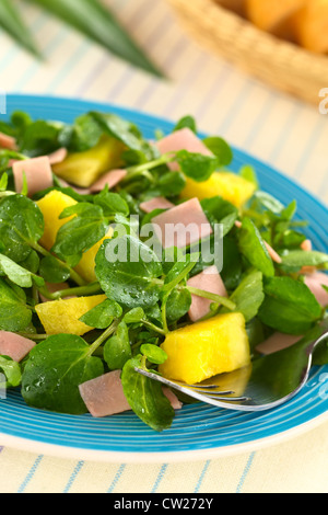 Crescione fresco, ananas e prosciutto insalata blu sulla piastra con una forcella Foto Stock