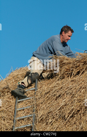 Ricoprendo di paglia un tetto su un cottage in Essex Foto Stock