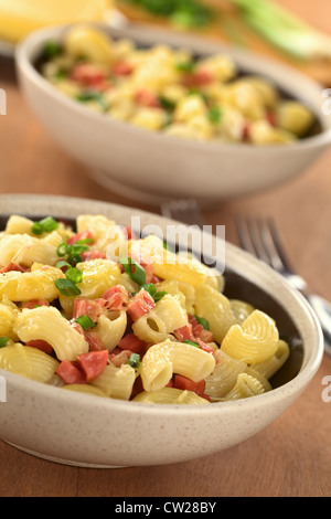 Due ciotole piene di freschi fatti in casa il gomito maccheroni con pezzi di salsiccia e formaggio grattugiato e cipolla verde Foto Stock