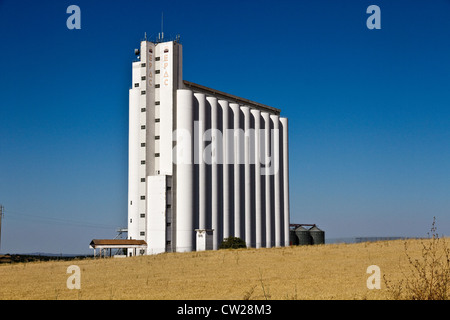 Silos per cereali al di fuori di Beja, nel Baixo Alentejo regione, Portogallo Foto Stock