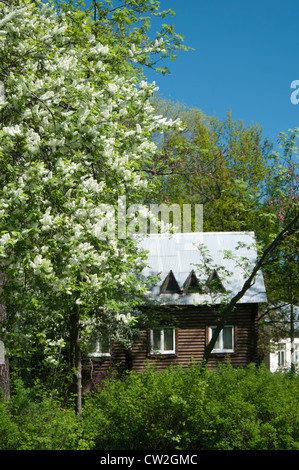 Paese di legno casa in un giardino fiorito in primavera Foto Stock