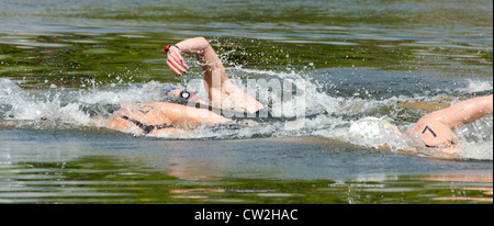 Kerri-Anne Payne team GB donne 10km open water swim marathon Olimpiadi di Londra 2012 Hyde Park lago Serpentine, London Regno Unito Foto Stock