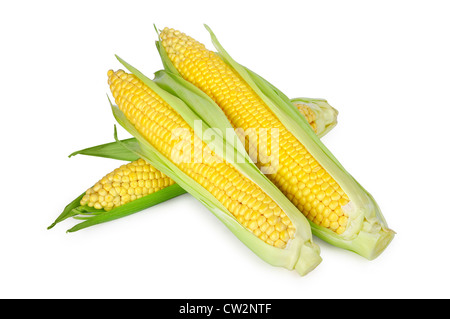 Una spiga di grano isolato su uno sfondo bianco Foto Stock