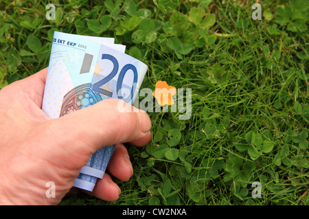 Una mano che trattiene le banconote in euro accanto a un buttercup su un prato Foto Stock