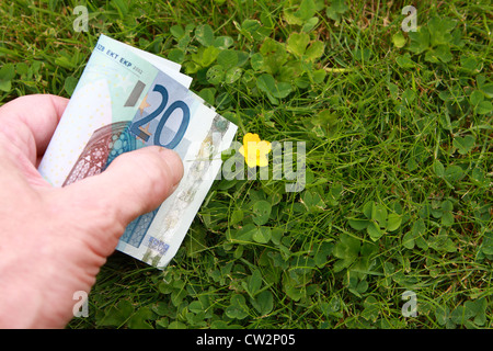 Una mano che trattiene le banconote in euro accanto a un buttercup su un prato Foto Stock