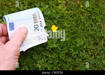 Una mano che trattiene le banconote in euro accanto a un buttercup su un prato Foto Stock