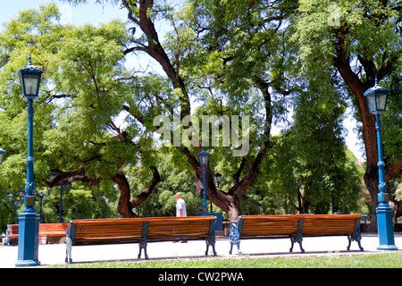 Mendoza Argentina,Plaza Independencia,parco pubblico,panca,lampada,alberi,tronco,rami,foglie,vegetazione,spazio verde,uomo uomini maschio adulti,camminare,prom Foto Stock