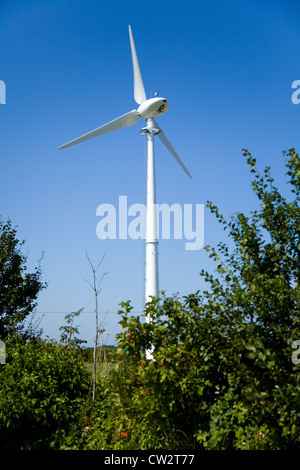 Nuova turbina eolica Endurance e-3120 da 50 kW, vista qui nel Nord Norfolk, si trova contro un cielo azzurro nella campagna inglese. Foto Stock