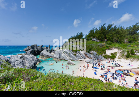 Una scena estiva a baia a ferro di cavallo, Bermuda. Ci sono lucertole da mare sulla spiaggia e nuotatori nell'acqua. Foto Stock