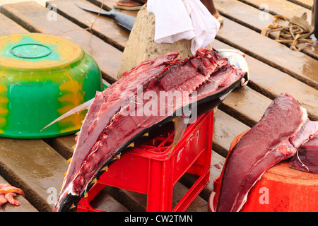 Pesce fresco e fisherman in Santa Maria, Isola di Sal, Capo Verde africa Foto Stock