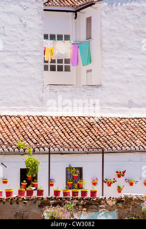 Ronda, Andalusia, Spagna, Europa. Bianco tradizionale casa lavato con colorati vasi per piante e lavaggio sulla linea. Foto Stock