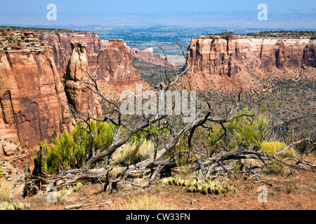 Uno dei tanti spettacolari vedute del Colorado National Monument vicino Fruita in Colorado occidentale. Foto Stock