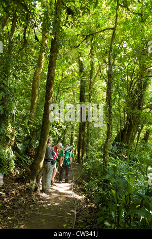 Quasi travolgente crescita verde e circondano i visitatori a Monteverde Cloud Forest Preserve. Solo uso editoriale. Foto Stock