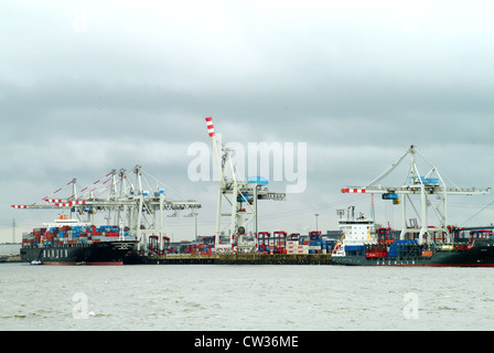 Amburgo, Tollerort terminale per container Foto Stock