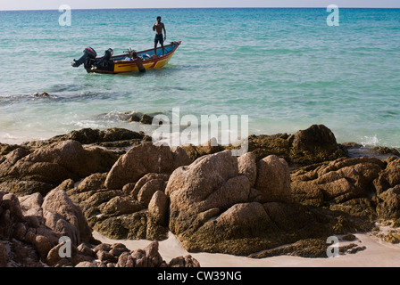 Shark pescatori sulla spiaggia Qalansiya, isola di Socotra, Yemen, Asia Occidentale, Penisola Arabica. Foto Stock