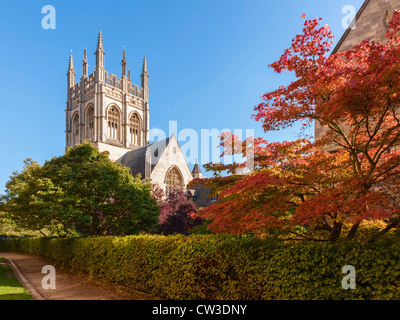 Grove a piedi, Merton College Chapel, Oxford Foto Stock