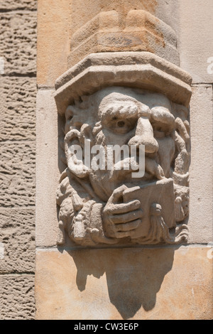 Trinity college Gargoyle, Università di Toronto Foto Stock