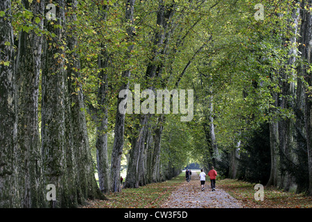 Stoccarda, persone in Rosensteinpark Foto Stock