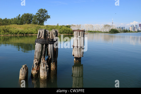 I resti del vecchio dock palificazioni contro una vista parziale della città di Toronto skyline. Foto Stock